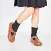 imageGINFIVE Toddler Girls Dress Shoes Little Kids Flats School Mary Janes ShoesGf287brown