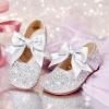 image:imageGINFIVE Toddler Girls Dress Shoes Mary Janes Ballerina Flats for Girls Shoes ToddlerGa13silver
